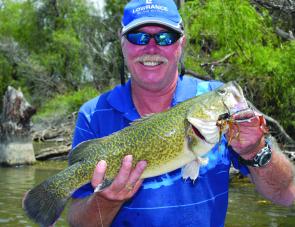 A total of 314 Murray cod were ‘measured in’, including this healthy Mumbler eating cod caught by Dave Silva from Lowrance.